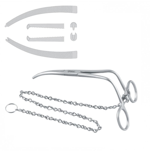 [FC.021.000|--|F59-805-00R|R59-805-00R] Clamp coronoid holding Arnett 1x2th curved with chain 