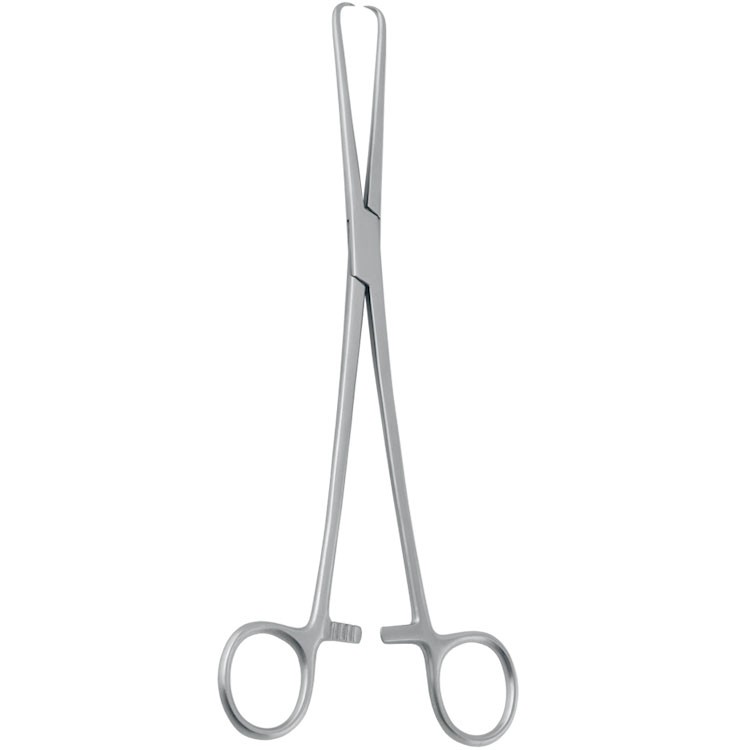 Forceps teneculum Pozzi 1x1th 255mm
