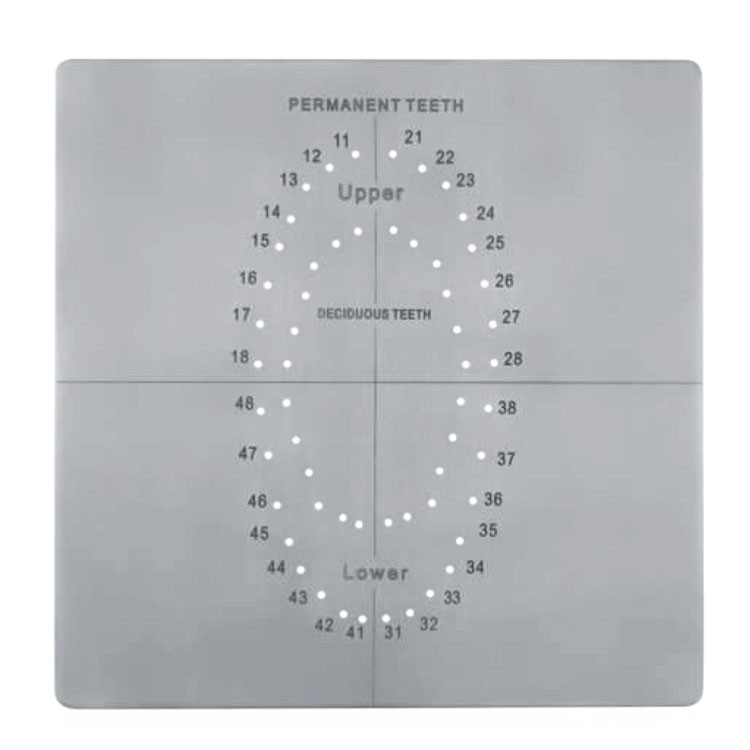 Rubber dam template stainless steel 