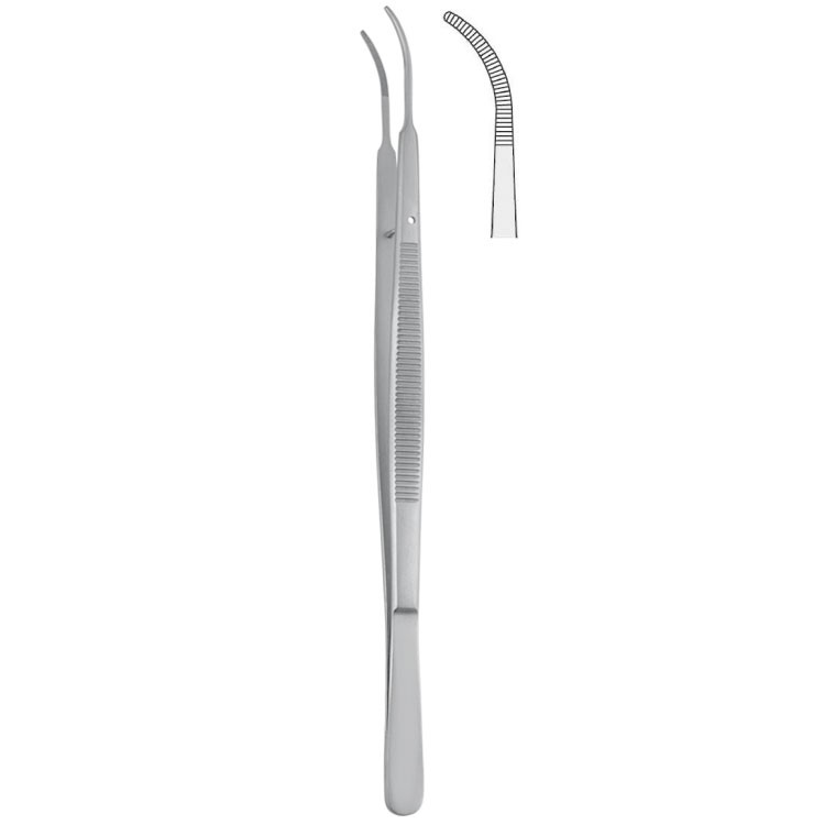 Forceps dissecting Gerald serrated curved 175mm