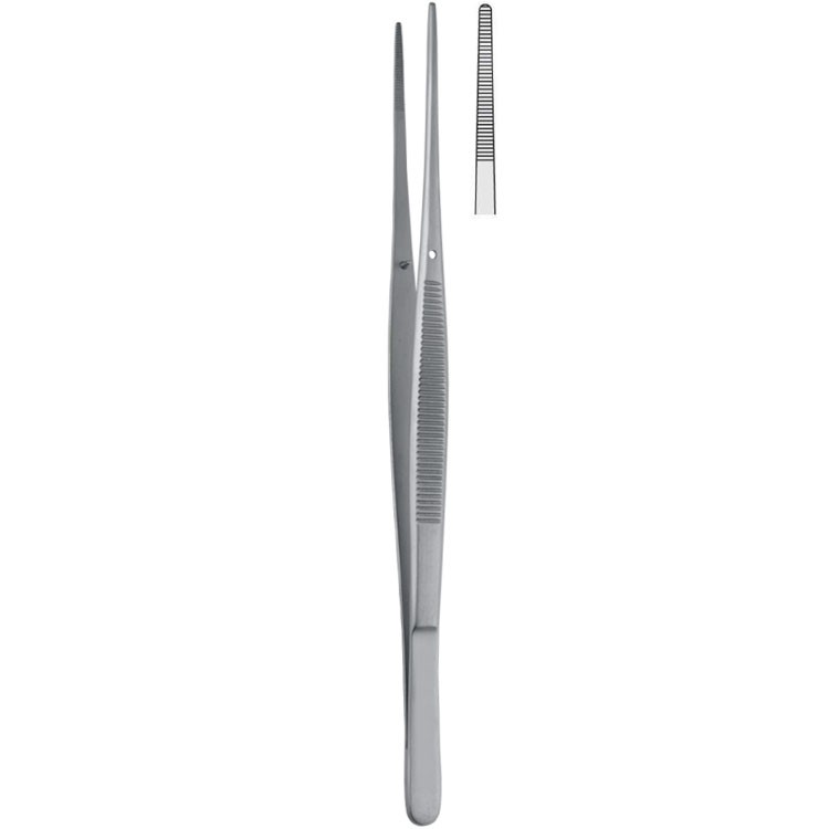 Forceps dissecting Taylor serrated straight 170mm