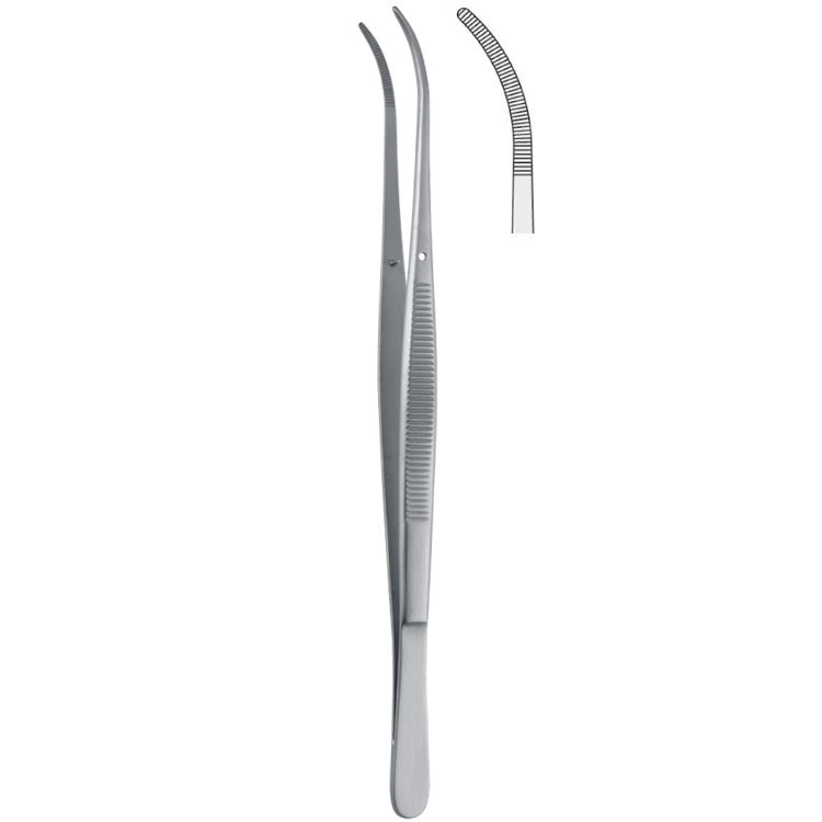Forceps dissecting Taylor serrated curved 170mm
