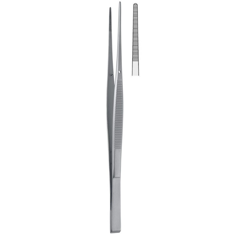 Forceps dissecting Taylor serrated wedge end straight 170mm