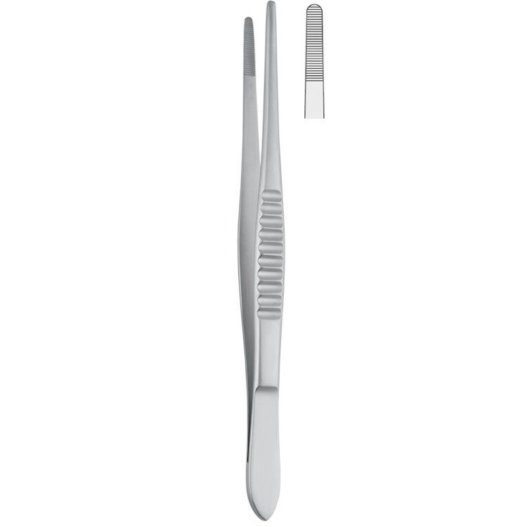 Forceps dissecting Standard (USA-Pattern) serrated 155mm