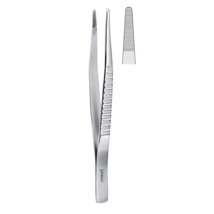 Forceps dissecting Standard (English pattern) serrated 130mm