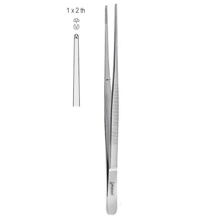 Forceps tissue Taylor 1x2th straight 170mm