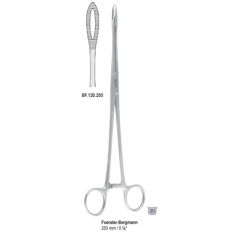 Forceps sponge Foerster-Bergmann straight 250mm