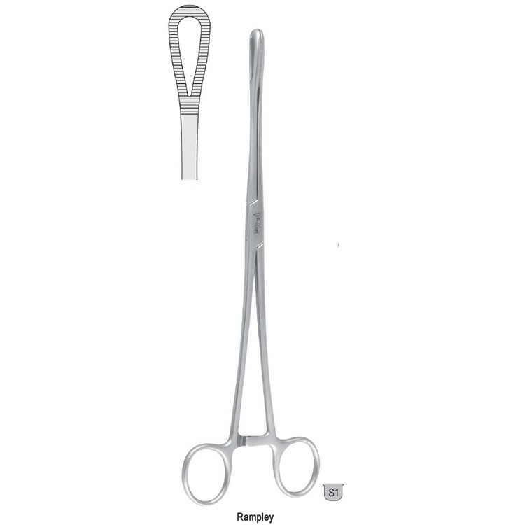 Forceps sponge Rampley 250mm