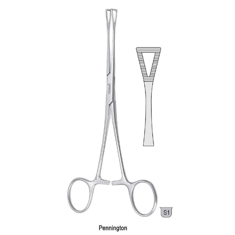 Forceps tissue Pennington triangular jaws 210mm