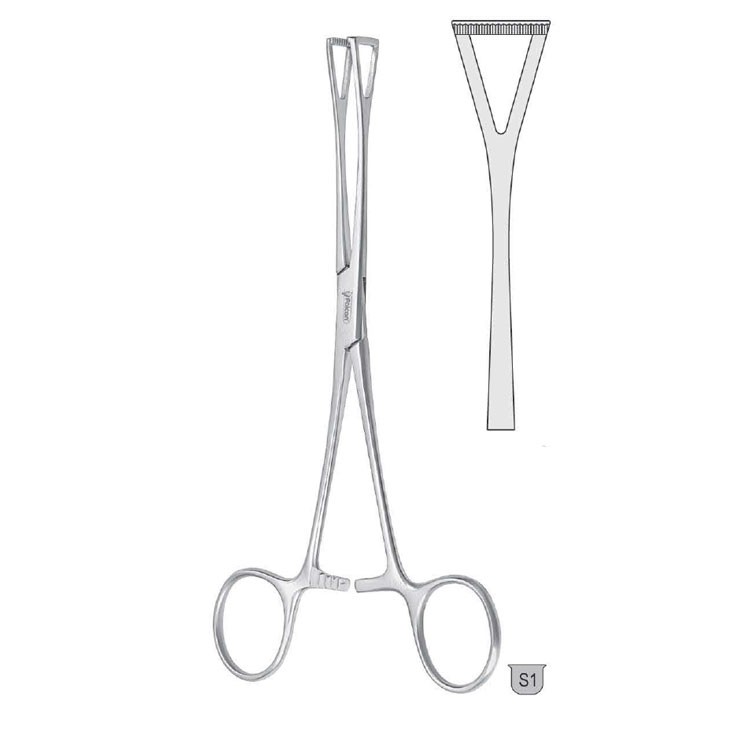Forceps tissue Duval triangular jaws 205mm