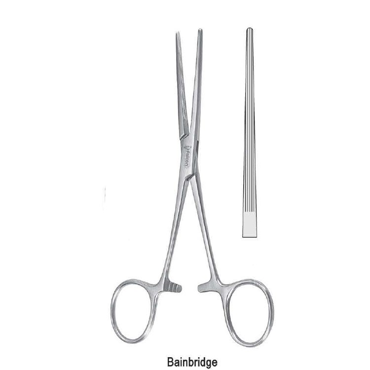 Forceps artery Bainbridge straight 155mm