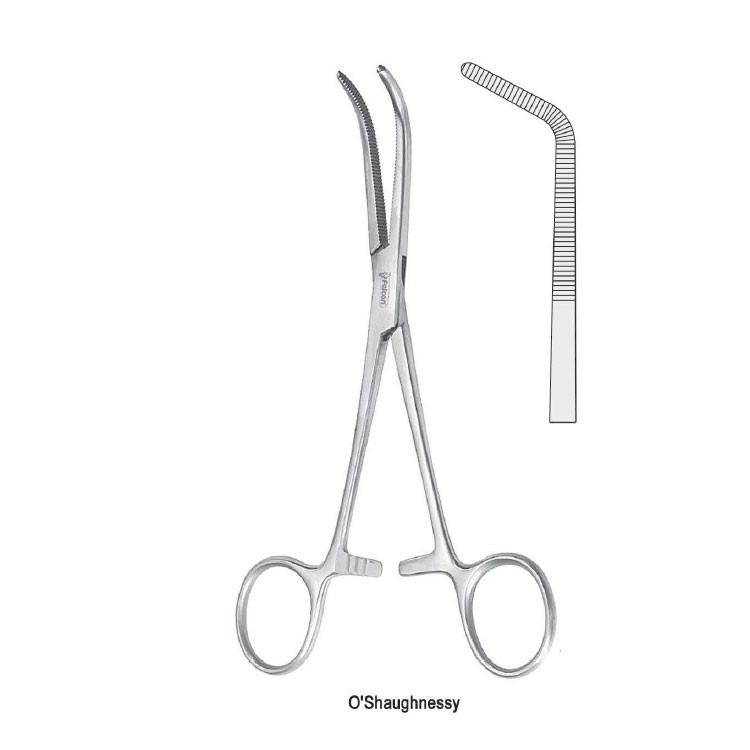 Forceps dissecting and ligature O 'Shaugnessy standard 45d 240mm