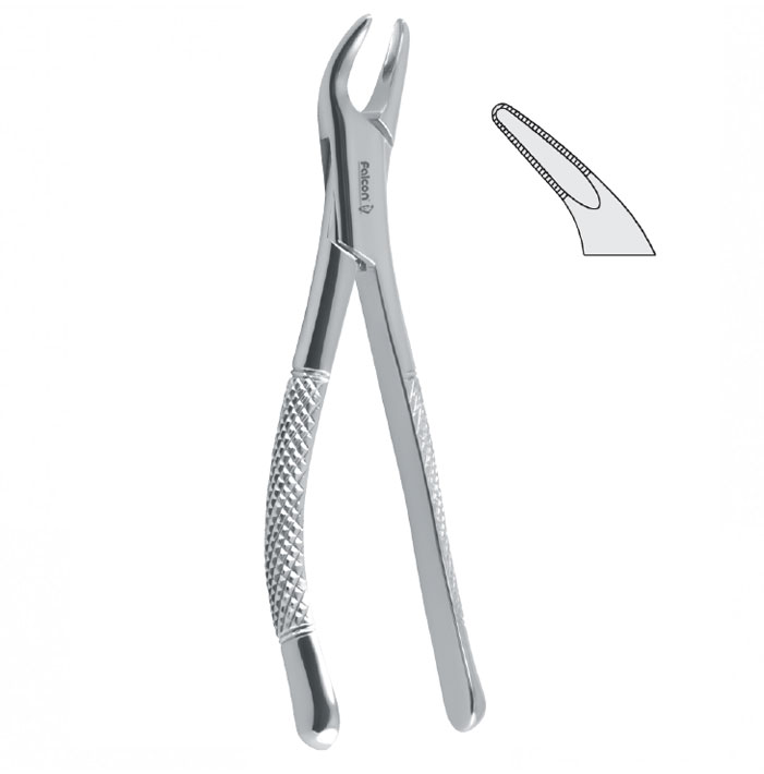 Extraction forceps children pattern serrated fig. 151S