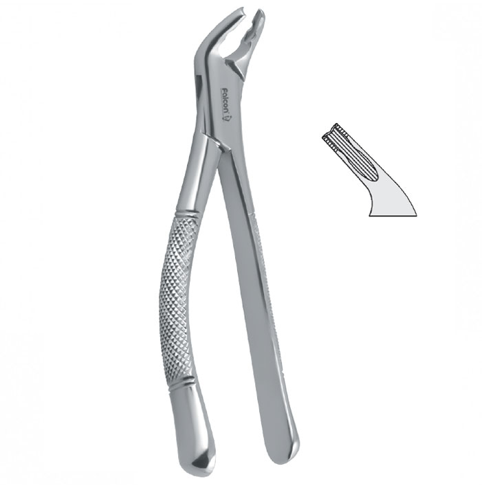 Extraction forceps children pattern serrated fig. 151XAS