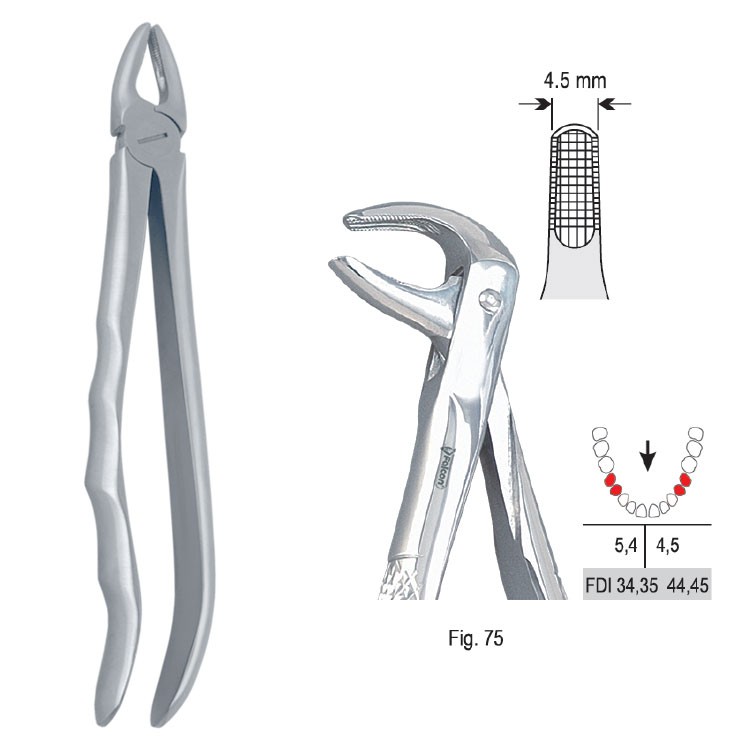 Extraction forceps with anatomical handle fig. 75