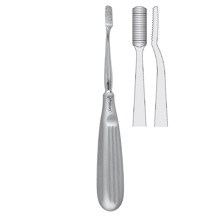 Tooth rasp standard fig. 1