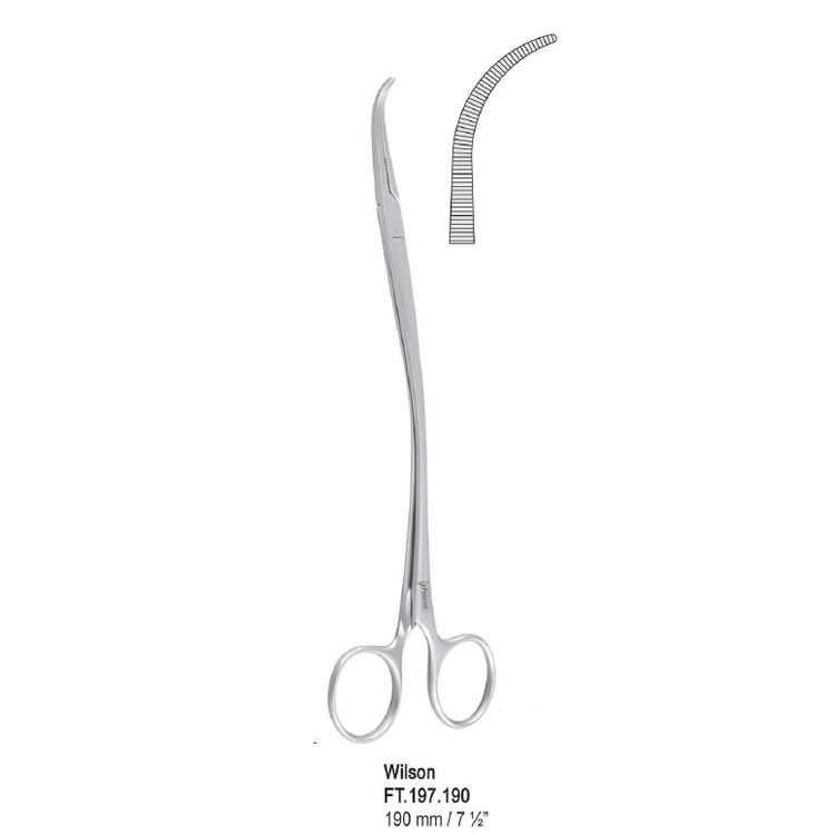 Forceps artery Wilson S-Shape 190mm