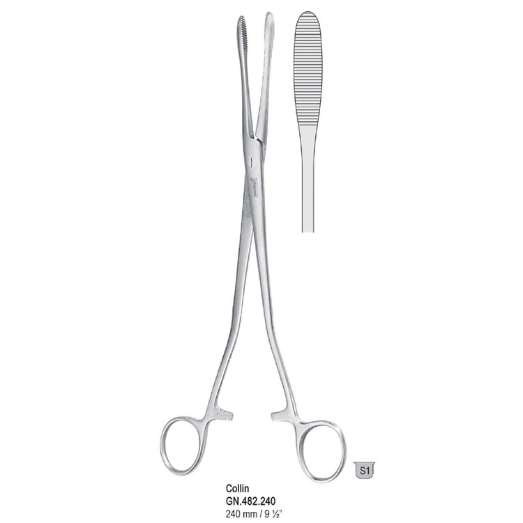 Forceps dressing Collin SJ straight 240mm 
