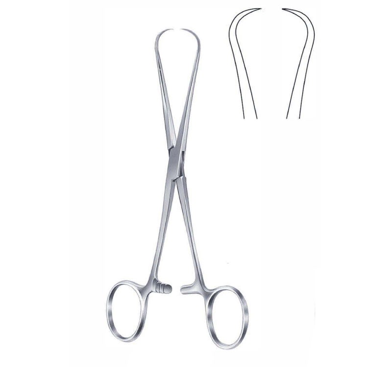 Forceps teneculum Staude-Moore 1x1th 170mm