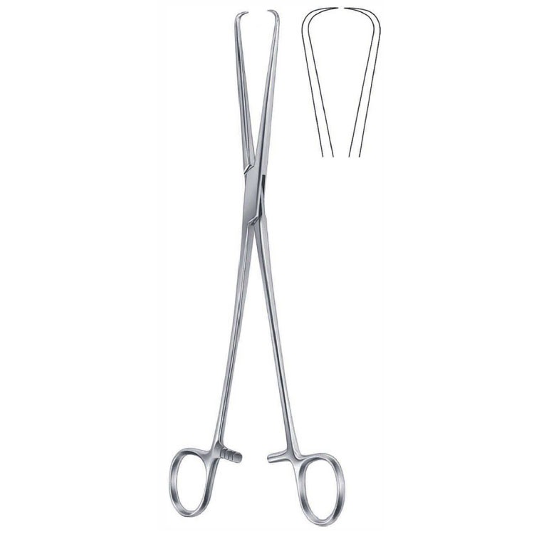 Forceps teneculum Schroeder 1x1th 250mm