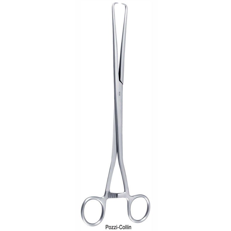 Forceps teneculum Pozzi-Collin 1x1th 250mm