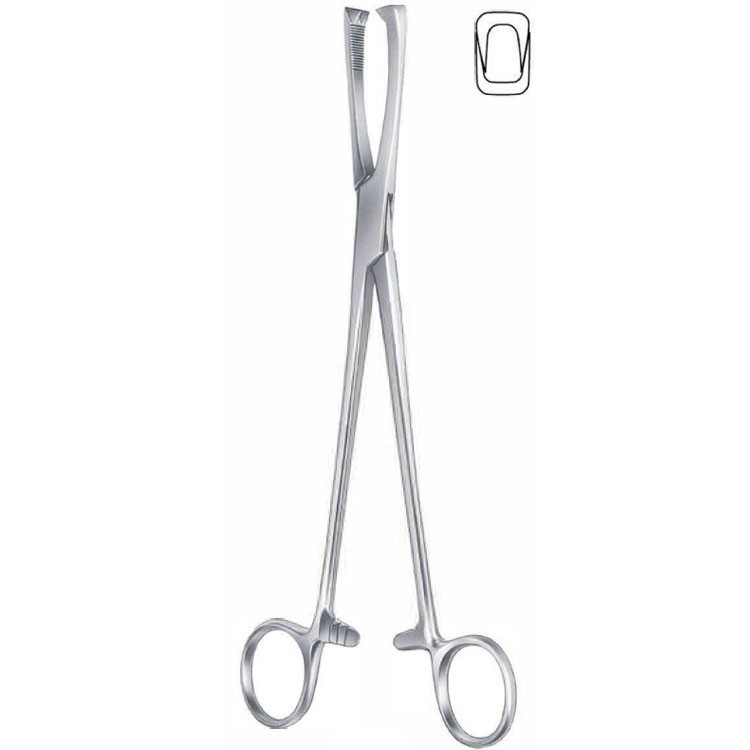 Forceps vulsellum Jacobs 2x2th straight 210mm