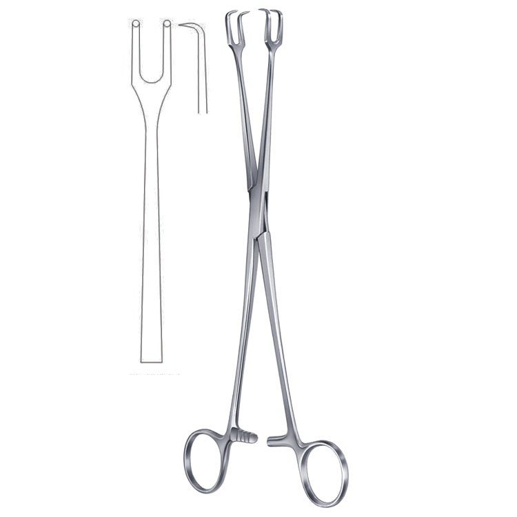 Forceps vulsellum Schroeder 2x2th straight 250mm