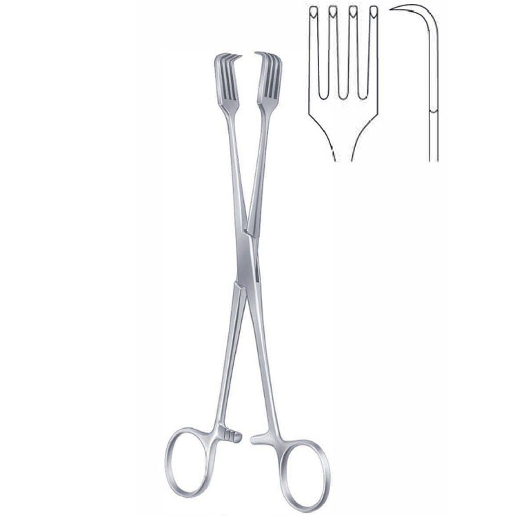 Forceps vulsellum Czerny 4x4th 210mm