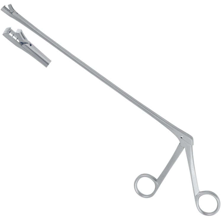 Forceps biopsy Kevorkian 250mm shaft