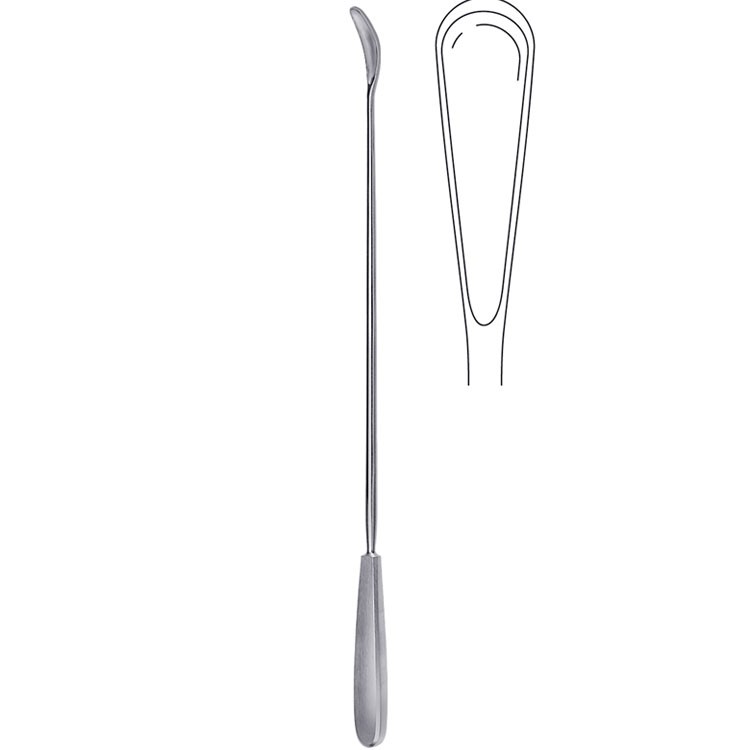 Scoop abortion Wallich fig.3, 420mm