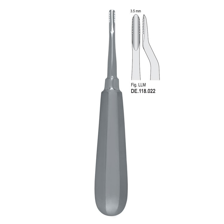 Elevator Lindo-Levian serrated bayonet mesial