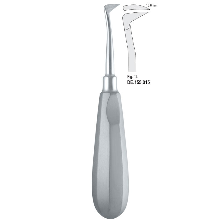 Elevator Seldin left fig. 1L