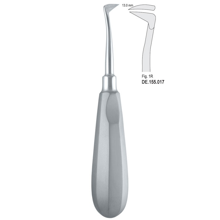 Elevator Seldin right fig. 1R