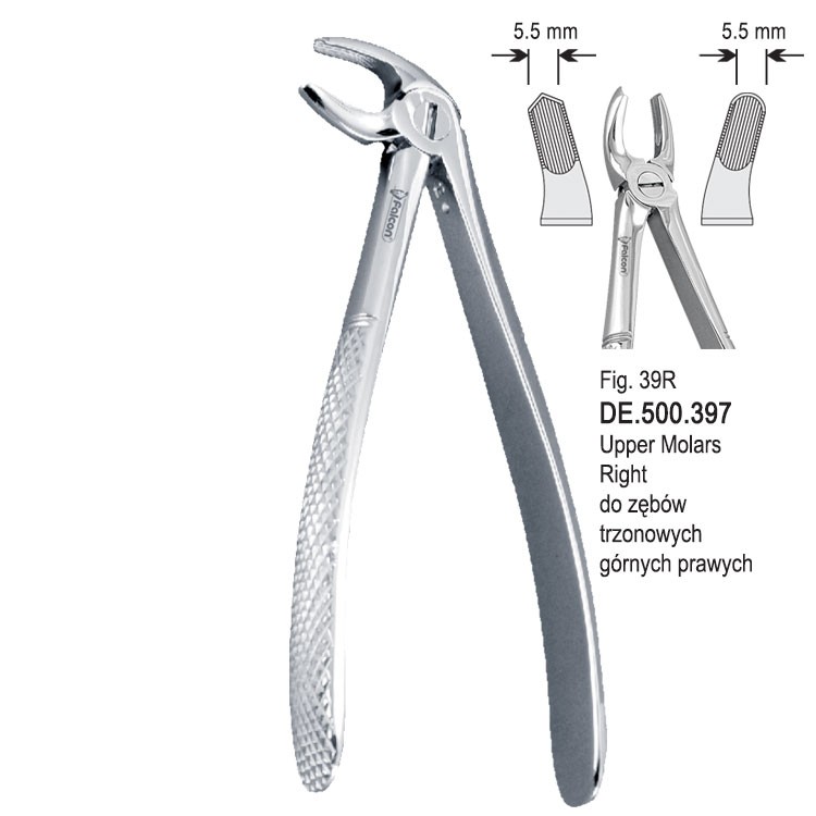 Extraction forceps children pattern fig. 39R