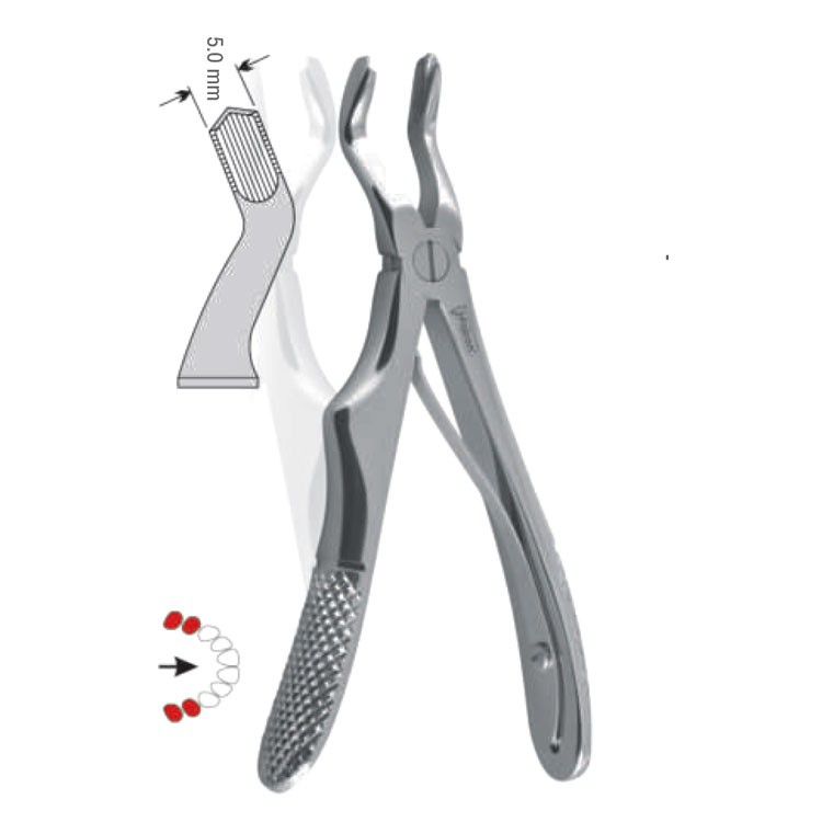 Extraction forceps children pattern fig. 3