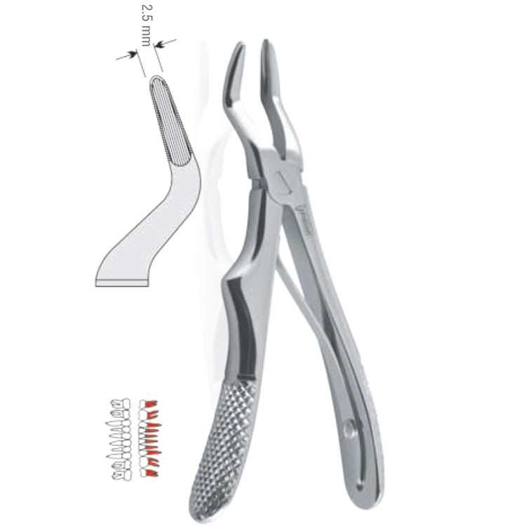 Extraction forceps children pattern fig. 51S