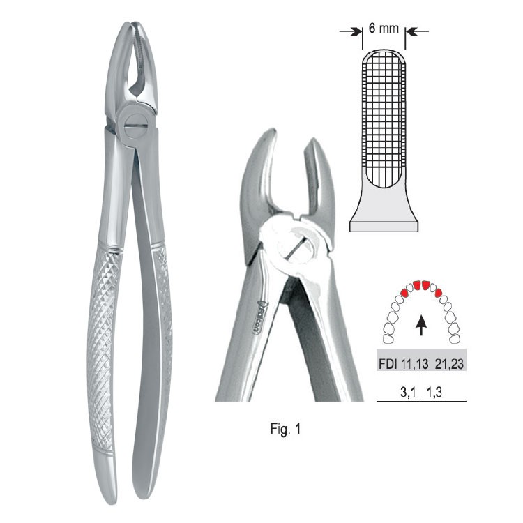 Extraction forceps European pattern fig. 1