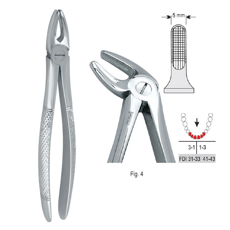 Extraction forceps European pattern fig. 4