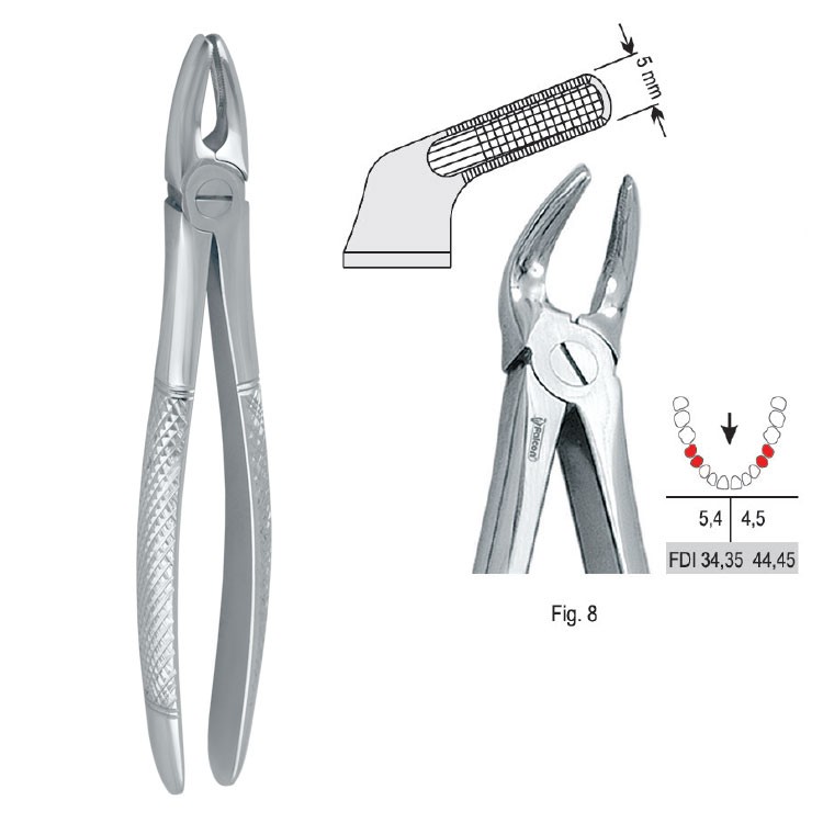 Extraction forceps European pattern fig. 8