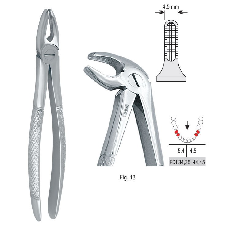 Extraction forceps European pattern fig. 13