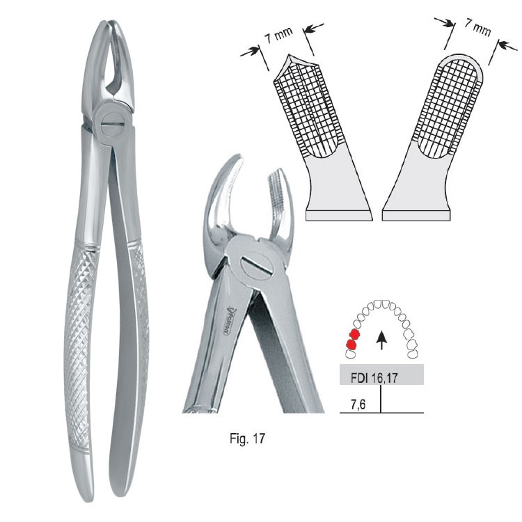 Extraction forceps European pattern fig. 17