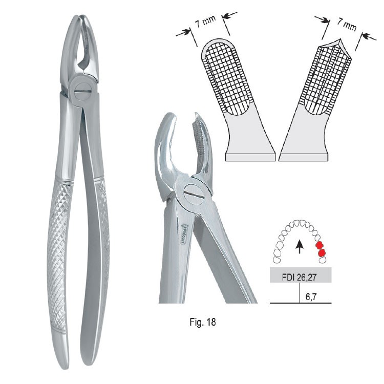 Extraction forceps European pattern fig. 18