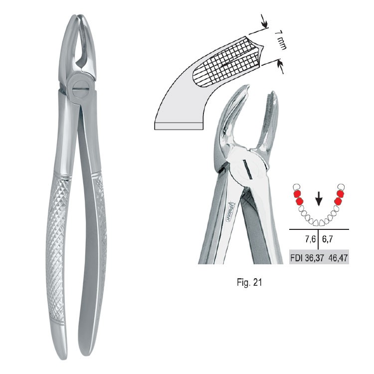Extraction forceps European pattern fig. 21