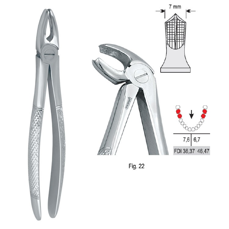 Extraction forceps European pattern fig. 22