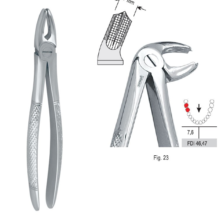 Extraction forceps European pattern fig. 23