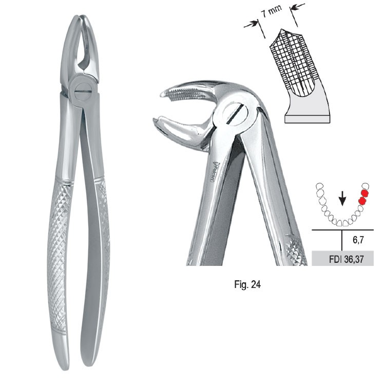 Extraction forceps European pattern fig. 24