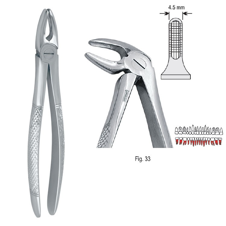 Extraction forceps European pattern fig. 33
