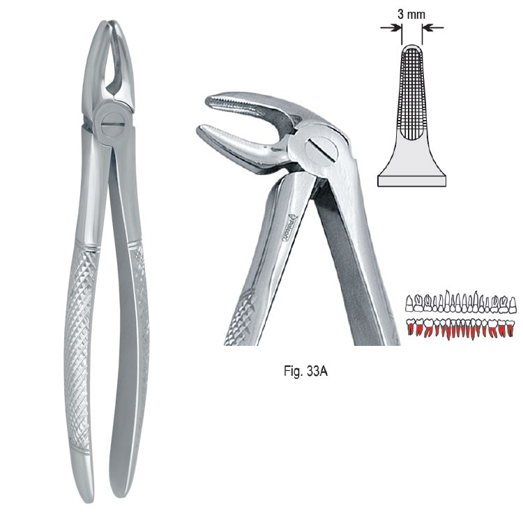 Extraction forceps European pattern fig. 33A