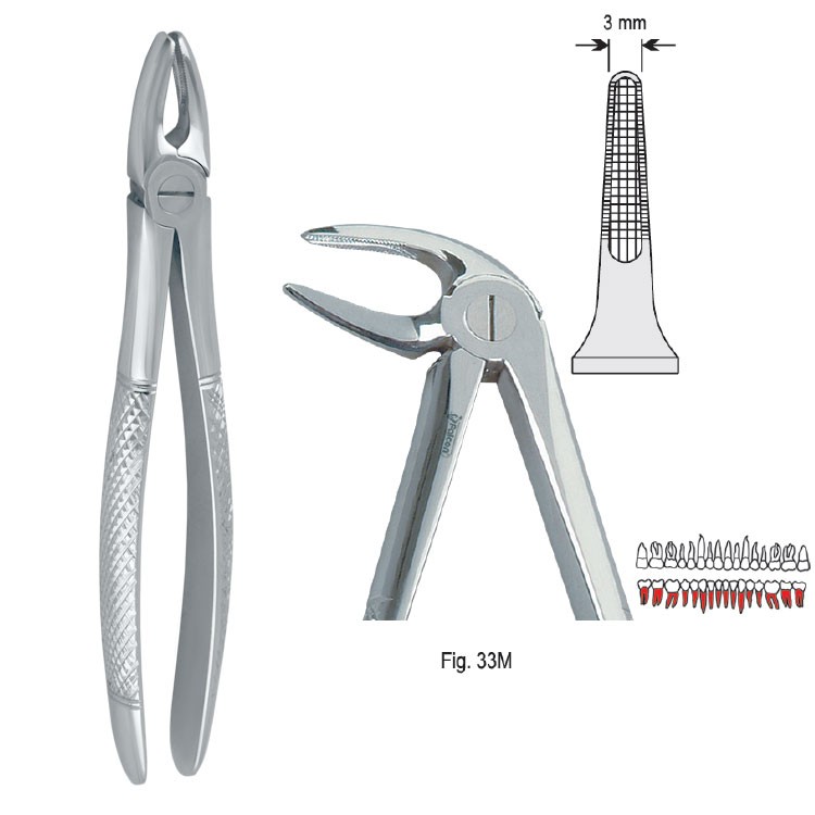 Extraction forceps European pattern fig. 33M