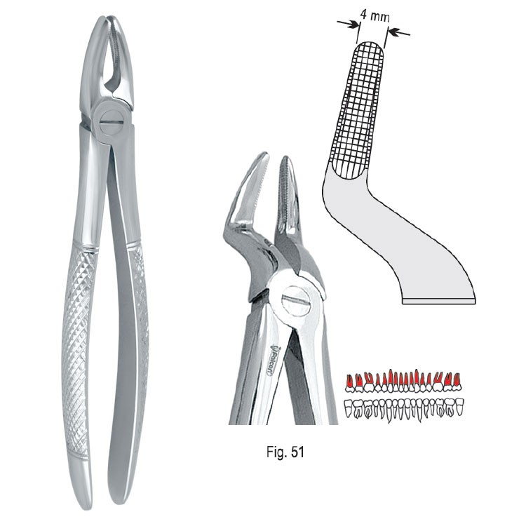 Extraction forceps European pattern fig. 51